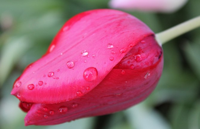 Zahlađenje, kiša i nestabilne vremenske prilike