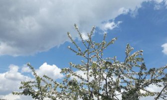 Kiša i snijeg, poslijepodne prestanak padavina