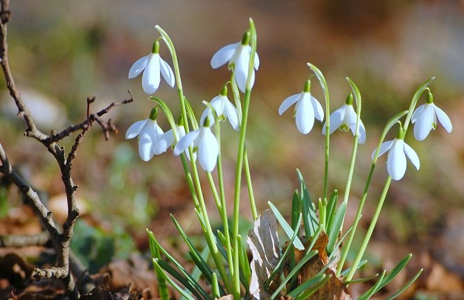 Danas oblačno sa sunčanim intervalima, do 18 stepeni