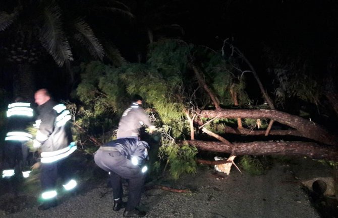 Jako nevrijeme u Herceg Novom: Oborena stabla, izlila se rijeka
