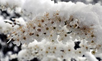 I danas snijeg na sjeveru, temperatura do 15 stepeni