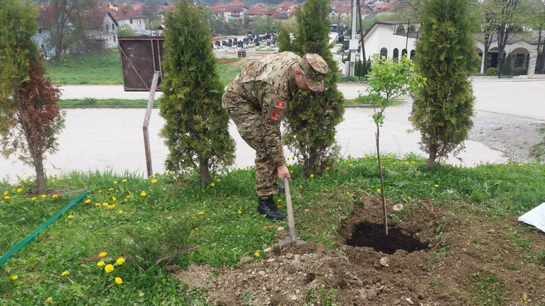 18111373102070275266050871371729699o