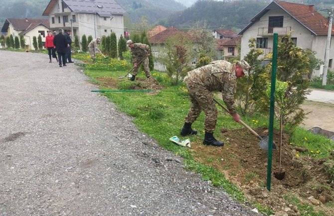Vojska zasadila 29 stabala breze u Bijelom Polju kao simbol broja članica NATO-a