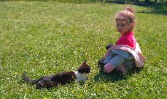 Podgorička urbana vrtna gerila