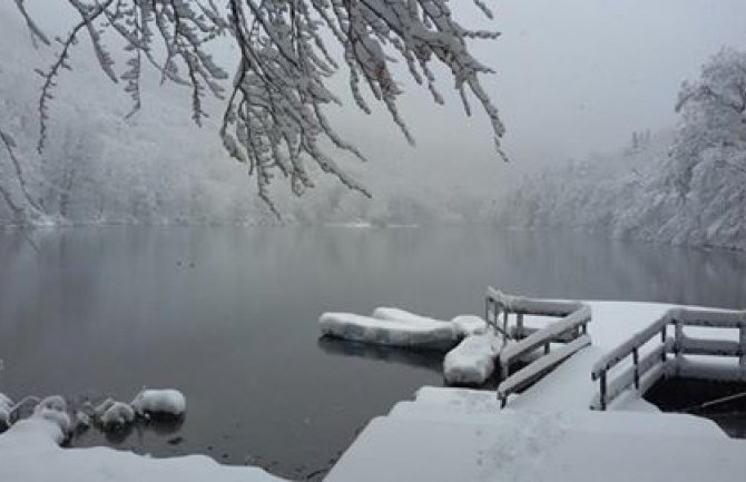 Biogradska gora od sjutra otvorena za posjetioce