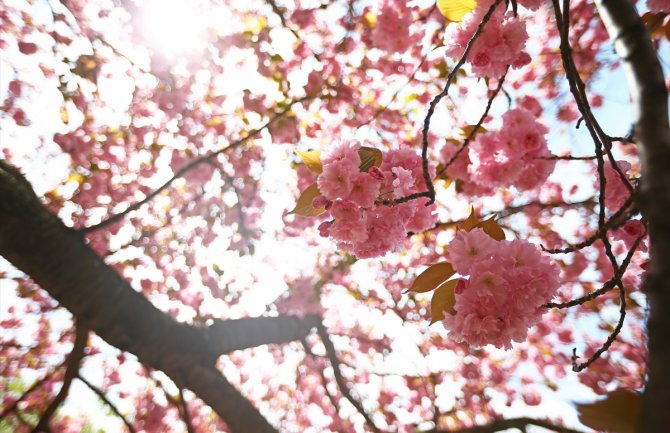 Evo kakvo vas vrijeme očekuje danas i sjutra