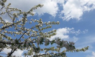 Pretežno sunčano, do 27 stepeni