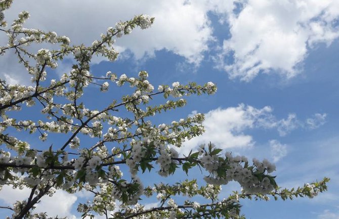 Pretežno sunčano, do 27 stepeni