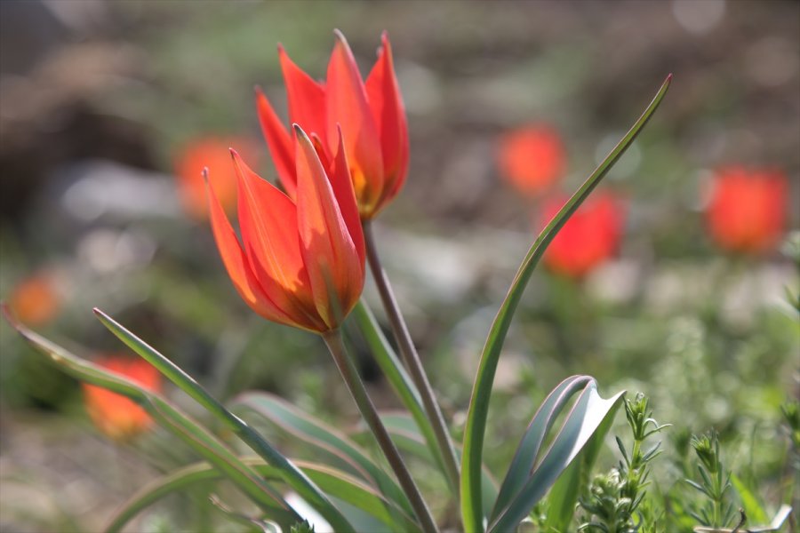 2017050622351445221790315Web