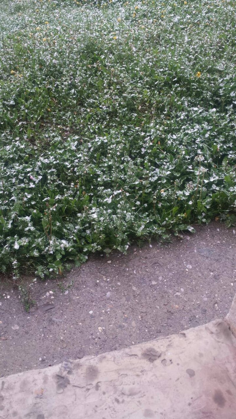 1840544010213382680549417756755212o