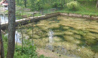 Pljevlja: Prolaznik spriječio tragediju u parku