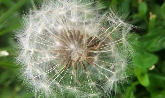 Evo kakvo vas vrijeme očekuje danas i sjutra