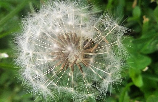 Evo kakvo vas vrijeme očekuje danas i sjutra