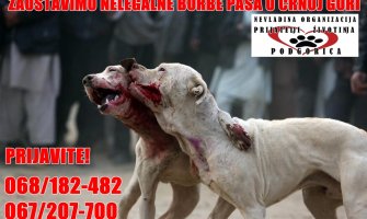 Prijatelji životinja pokreću akciju protiv nelegalnih borbi pasa