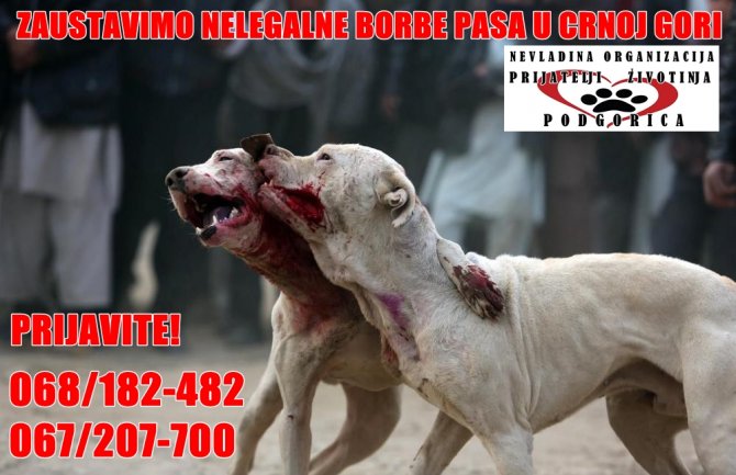 Prijatelji životinja pokreću akciju protiv nelegalnih borbi pasa