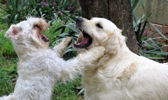 Sunčano, poslijepodne ponegdje kiša