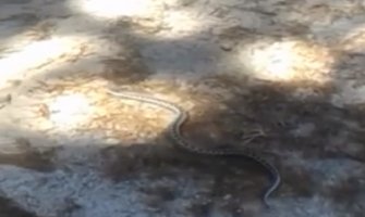 Poskok u Podgorici (VIDEO)