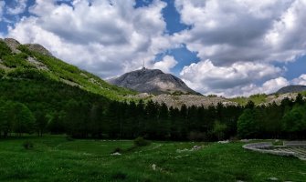 Vlada odbila da kupi 150.000 kvadrata u NP Lovćen