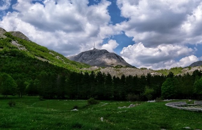 Vlada odbila da kupi 150.000 kvadrata u NP Lovćen
