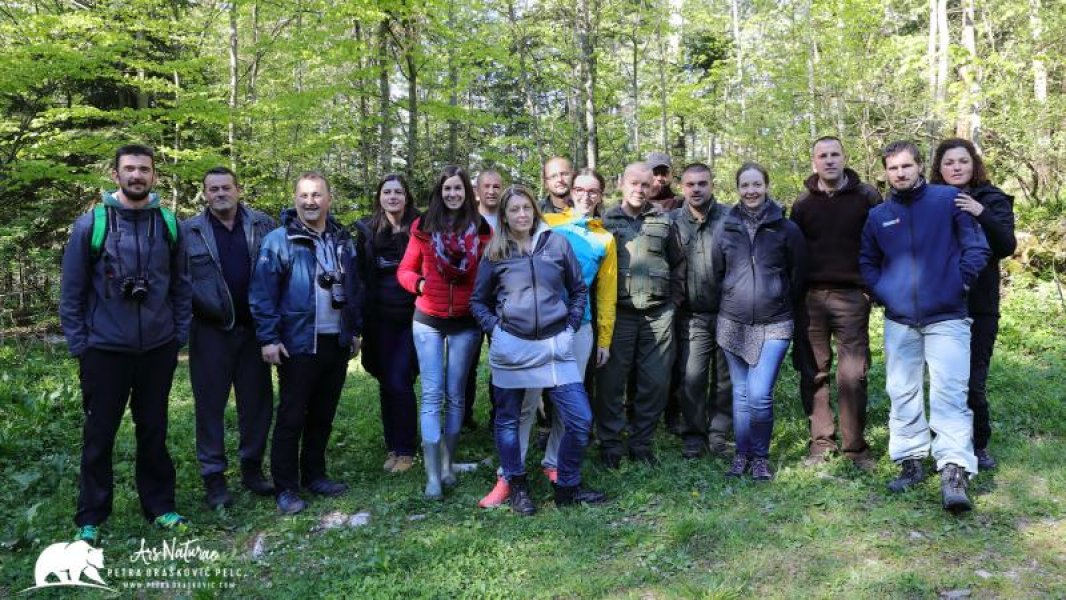 PetraDraskovicPelcARS3235PDss