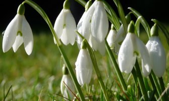 Evo kakvo vas vrijeme očekuje danas i sjutra