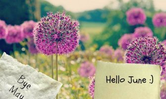 Sunčano i toplo, do 31 stepen