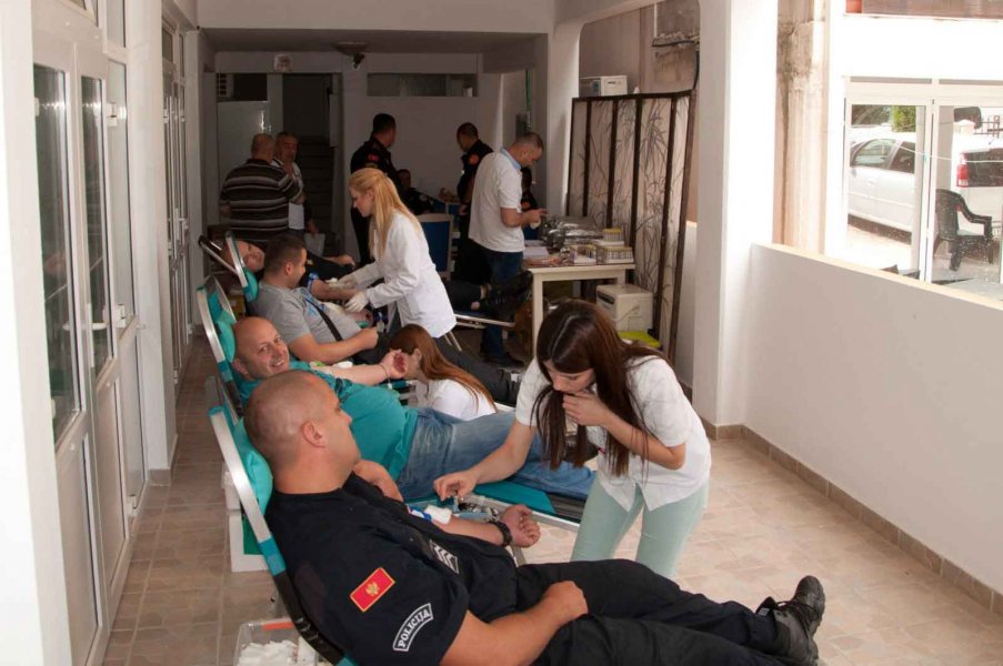 davanjekrviipasekcijaicbbar2