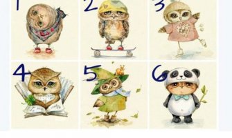 Odaberite sovu i saznajte kakav ste karakter