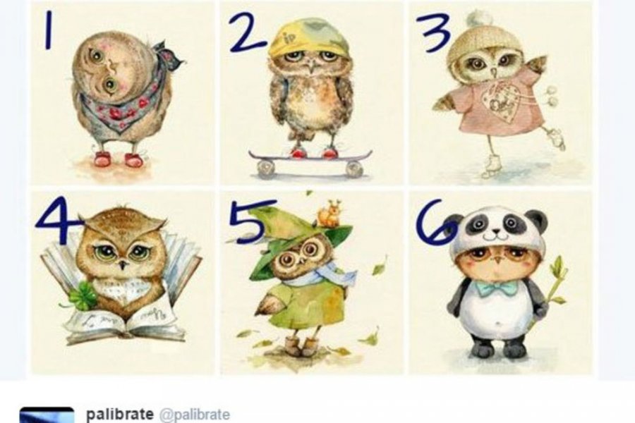 1015881sovatestkarakterls