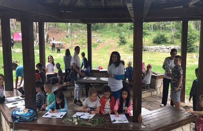 „Dan koprive“ održan u NP Lovćen