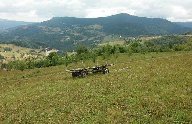 Simović: Luksuz posmatrati zapuštene hektare obradivog zemljišta u državnoj svojini