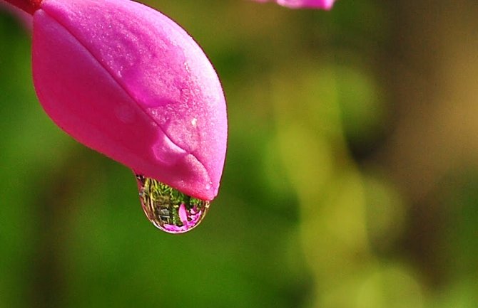 I danas kiša, do 34 stepena