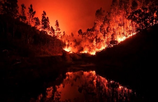 Portugal: Više od hiljadu i po vatrogasaca se i dalje bori sa šumskim požarima