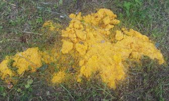 Ko je nadležan za uklanjanje otrova sa javnih površina u Nikšiću? 