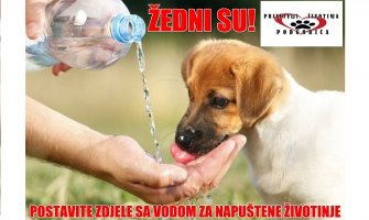 Pokažimo humanost: Utolimo žeđ napuštenim životinjama