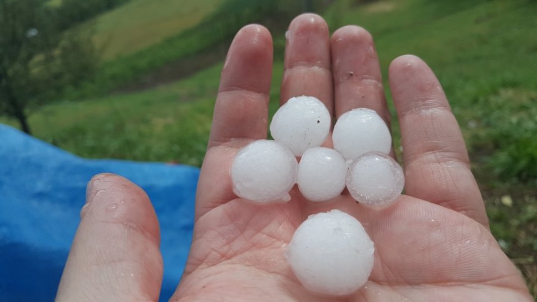 19550894102132972656973211250253050n