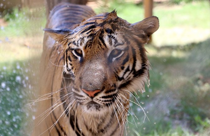 Sunčano i veoma toplo, do 37 stepeni