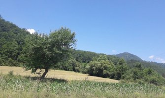 Sunčano i veoma toplo, do 38 stepeni