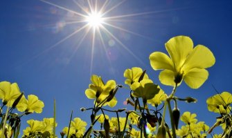 Danas sunčano i veoma toplo, do 42 stepena