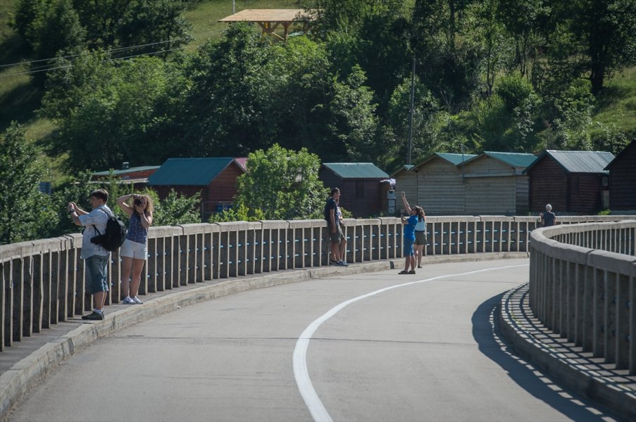 2017070122450370523656110Web