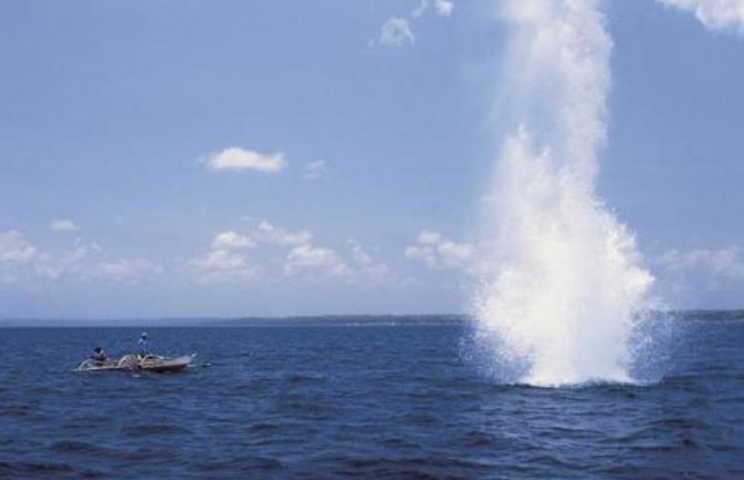 Krivično djelo držanja dinamita se ozbiljnije sankcioniše od upotrebe