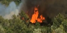 Požar u Tivtu: Vatra se širi prema kompleksu Luštica Bay (VIDEO)