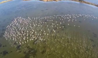 Nacionalni parkovi i dalje upravljaju Solanom