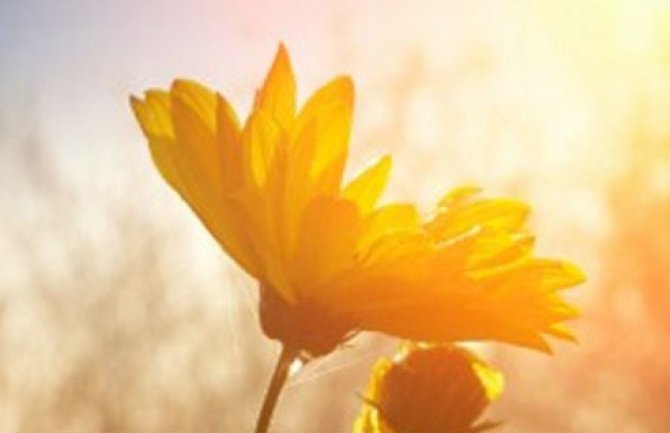 Danas veoma toplo, na sjeveru kratkotrajna kiša