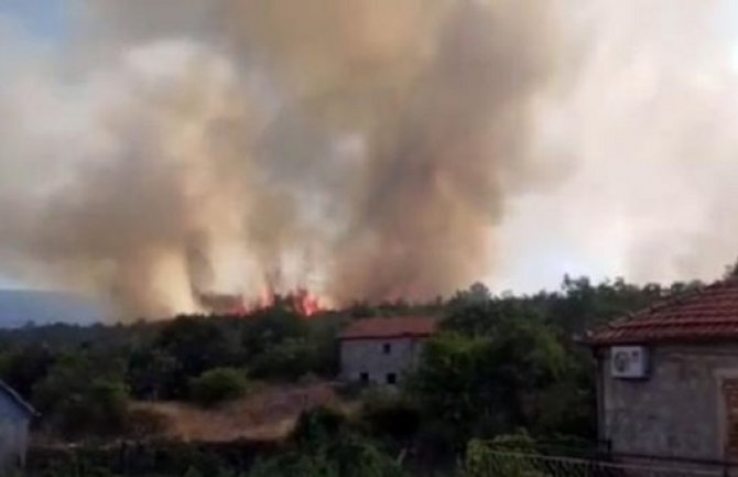 Požar u Donjem Grblju: Vatrogasci odbranili kuće (Video)