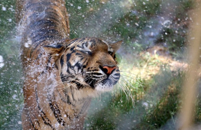 Sunčano, do 39 stepeni