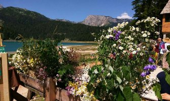 Na Crnom jezeru organizovana izložba cvijeća i mliječnih proizvoda 