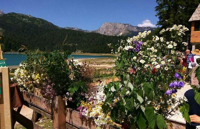 Na Crnom jezeru organizovana izložba cvijeća i mliječnih proizvoda 