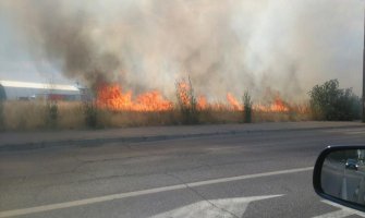 U požaru u Rogamima ugrožene kuće, vatru gasili i avioni