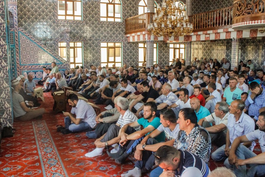 2017071422474240524078488Web